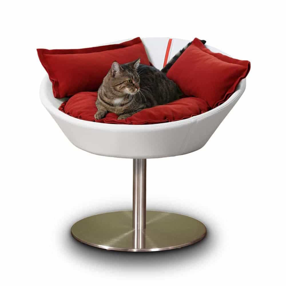 Kätzchen ruht tiefenentspannt in ihrem Katzenbett Cosmo von pet-interiors